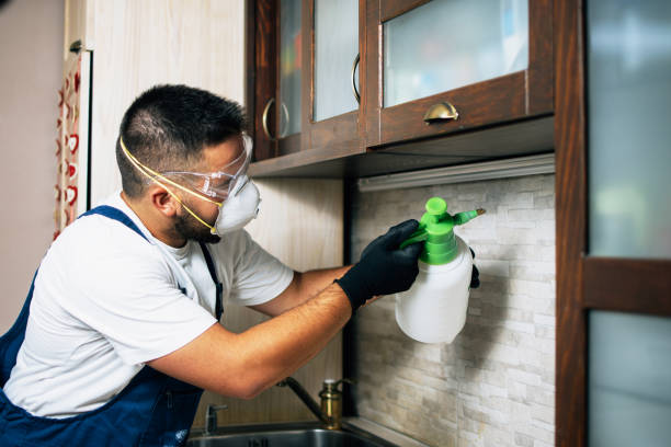 Pest Prevention Services in Cornville, AZ