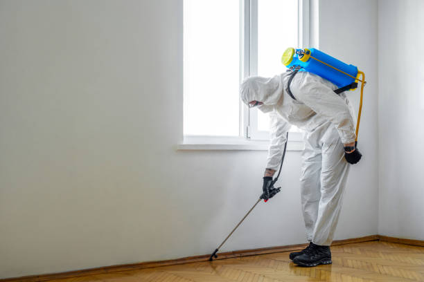 Pest Control for Restaurants in Cornville, AZ