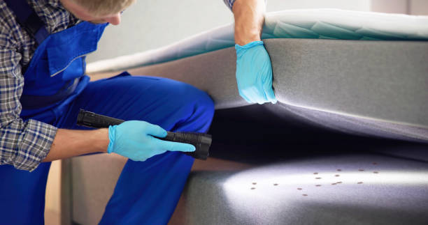 Best Commercial Pest Control Services  in Cornville, AZ