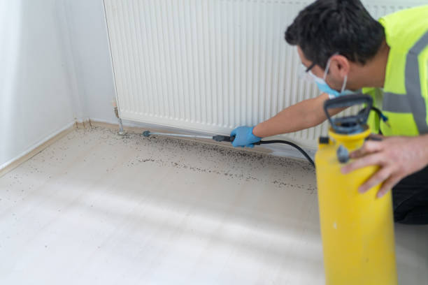 Best Best Pest Control Companies  in Cornville, AZ
